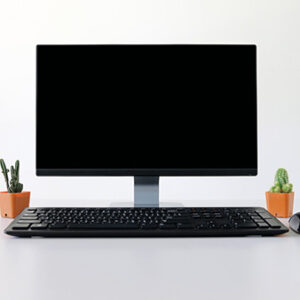 Certificate in Computer Skills for the Office