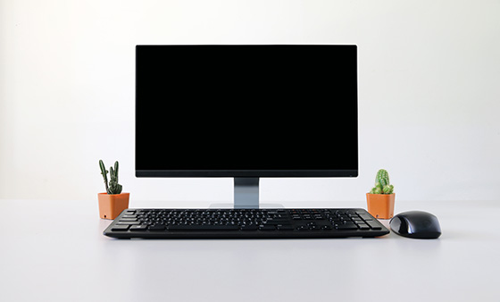 Certificate in Computer Skills for the Office